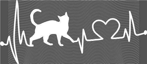 Best selling design-CX 2637